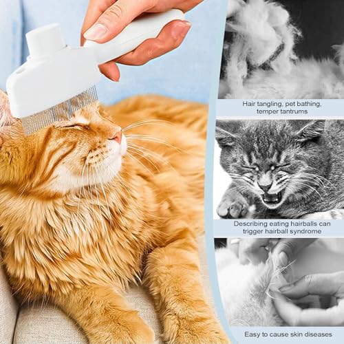 Cepillo de vapor para gatos de todos los tamaños con luz integrada 4