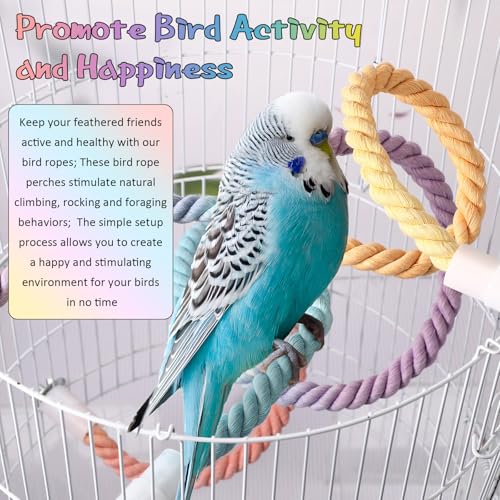 Image of Skyygemm 2pcs Gradient Colorful Bird Rope Perches Stand Pole Bird Cage Bendable Swing Climbing Rope Toys Accessories Cotton Climbing for Parrot Cockatiels Parakeet Budgies Lovebirds(16.3''& 47.2'')