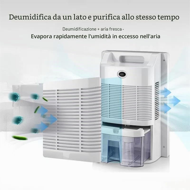 2 In 1 Purificatore d'Aria & Deumidificatore, Anti Muffa, Elettrico, Distruttore di Odori per Camera Ufficio Casa Appartamento Cantina