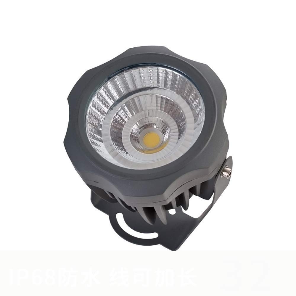 Projecteur LED d'extérieur étanche IP68 blanc 30W à haute luminosité pour bâtiment