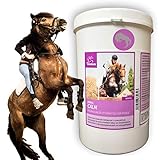 Anti Stress für mehr Gelassenheit I unterstützt das Nervensystem für einen schnelleren Abbau von Stresssituationen & Angst I Magnesium sorgt für Gelassenheit beim Trainining, Ausritt & Turnier I Anti-Stress Pferd I Beruhigung der Nerven I Hilft auf natürliche Weise in stressigen oder beängstigenden Situationen wie z.B. Silvester, Gewitter, Tierarzt, Transporte, Hyperaktivität, Schreckhaftigkeit oder sonstigen Notfällen I Als Relax Kur um grundsätzlich ängstliche Pferde & Ponys zu beruhigen.
