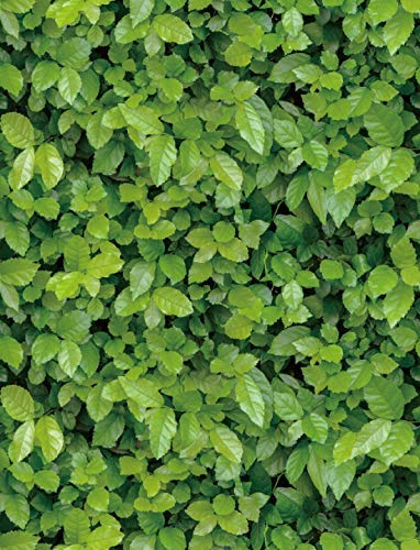 HOMEMATES Wall Stickers Black DIY Wallpaper Decal (45.72 x 304.8 cm) Self Adhesive Decals Living Room Hall Bedroom Decoration Flower Polyvinyl Chloride Wallpaper Vinyl PVC Wallpaper (Green Grass) (B09BRBLFYQ) Amazon Price History, Amazon Price Tracker