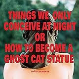  Things We Only Conceive at Night or How to Become a Ghost Cat Statue (feat. David John Hull)
