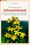 Johanniskraut - Jörg Zittlau 