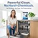 Earth Breeze Dishwasher Cleaner Tablets – 4-in-1 Cleans, Deodorizes, Refreshes & Protects – Removes Odor, Buildup & Residue – Fragrance Free, No Harsh Chemicals, Safe for All Dishwashers - Made in USA