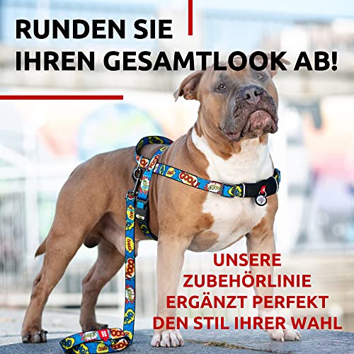 WAUDOG Nylon Leine Hund Große Hunde, Hundeleine Mittelgroße Hunde Leine für Kleinere Hunde, Hundeleine für Welpen, Hundeleine Nylon, Leinen für Hunde Schleppleine Hund