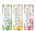 VOSS Strawberry Ginger Flavored Sparkling Water – Unsweetened, Zero Calories, 12 Fl Oz (Pack of 24)