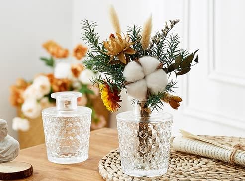 Small Glass Vase - Bud Vases in Bulk Set of 5 Different Shape Vintage EylKoi, Mini Vases Clear for Flowers, Table, Centerpieces, Home Decor, Wedding