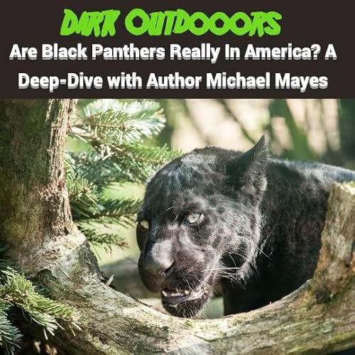 Are Black Panthers Really In America? A Deep Dive On These Mysterious Cats Podcast Por arte de portada