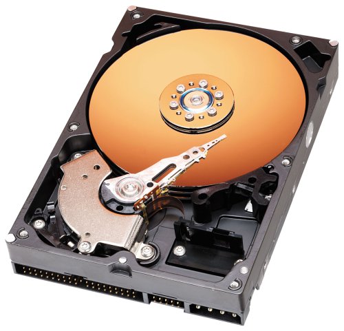 Preisvergleich Produktbild Western Digital Caviar 40GB Festplatte 7200RPM 2MB Cache (Retail)