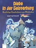  Diebe in der Geisterburg. Knifflige Geschichten zum Mitdenken