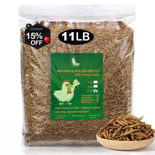 Non-GMO 11 lbs Black Soldier Fly for Poultry,Chickens, Ducks and Geese ,High-Protein,Lrage Black Soldier Fly