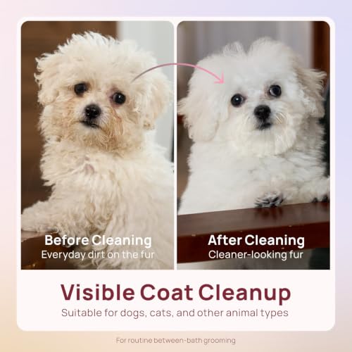 Image of HICC PET Pet Cleaning Wipes for Dogs & Cats, Paws & Coat, 100 Count