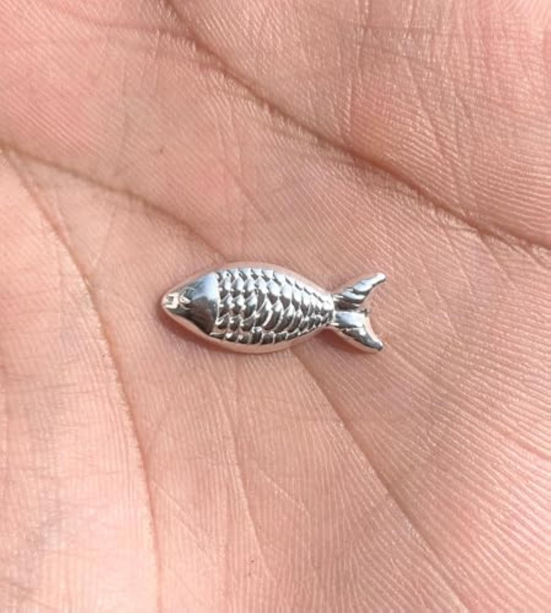 Silver Fish for Astrological Use, Spiritual Decor