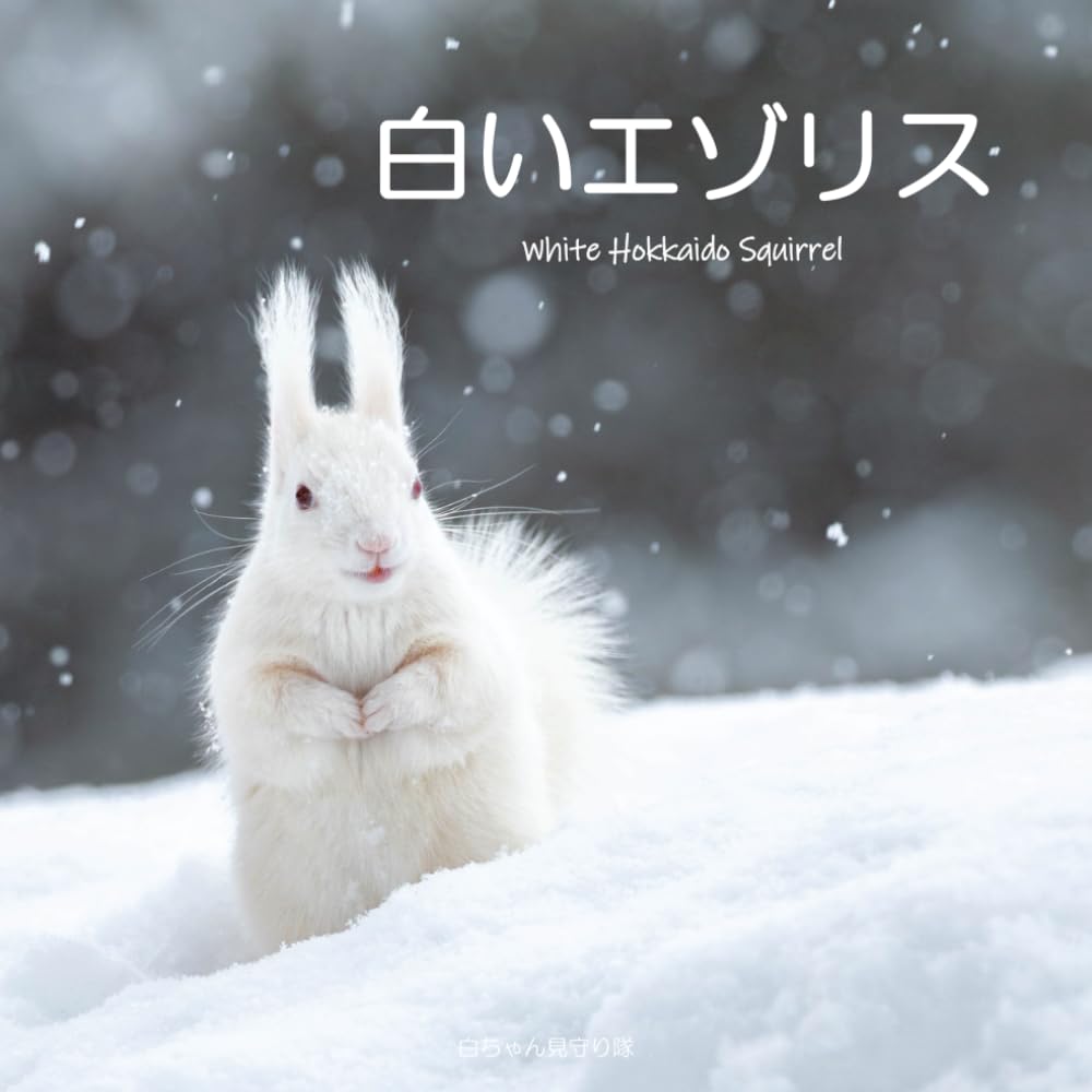 白いエゾリス