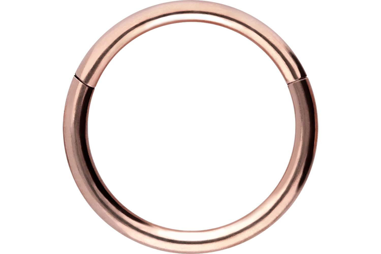 PIERCINGLINE Anillo segmento Clicker de acero quirúrgico – Piercing en oro, plata, rosa, negro o azul – para nariz, tabique, oreja, hélice o tragus — view 85