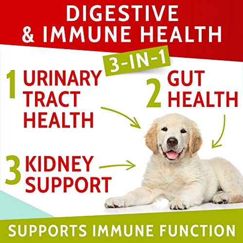 Image of PAWFECTCHEW Dog Pee Grass Helper - Grass Treatment for Dog Urine - Dog Urine Neutralizer for Grass Burn Spots - Dog Pee Lawn Repair Treats with Probiotics - Made in USA - 120 Chews