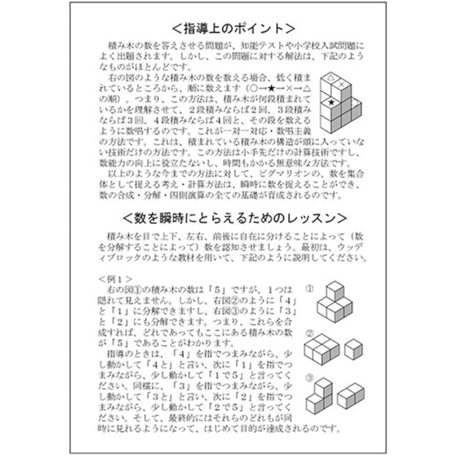 ＊りかるめ＊　能力開発問題集 セット＋積み木推理3冊 知恵の積み木234＆ノート3冊セット – TSUZURU MALL