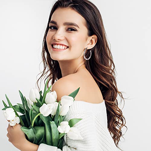 Casoty 4 Pairs Acrylic Hoops Earrings for Women, Resin Tortoise Shell Resin Hoop Earrings Fashion Statement Earrings Gifts for Women2