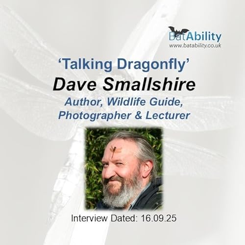 Talking Dragonfly with Dave Smallshire (Author, Wildlife Guide & Birder) cover art