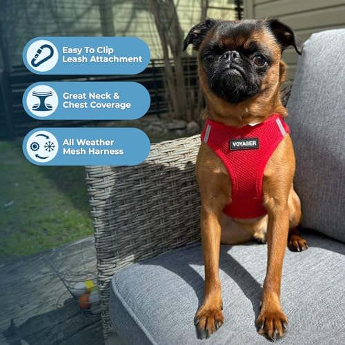 Image of Best Pet Supplies Voyager Step-in Air All Weather Mesh Harness and Reflective Dog 5 ft Leash Combo with Neoprene Handle, for Small, Medium and Large Breed Puppies - Harness Leash Set (Red), XXS
