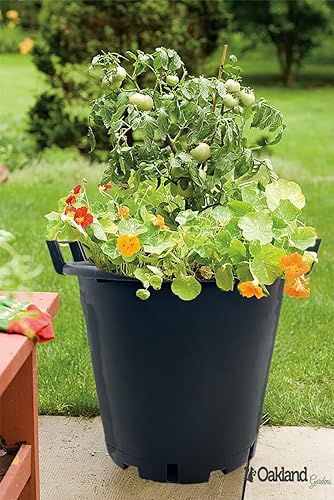 Oakland Gardens 30L Plant Pots Potato Containers Buckets (Pack of 10) Heavy Duty Black Plastic Planters for Outdoor Plants - Large Planter Pots for Gardens - Flowers, Vegetables & Trees… - Image 5
