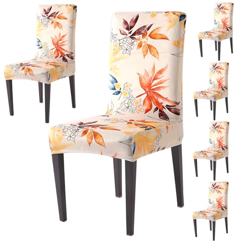 Image of HOKIPO Premium Printed Velvet Dining Chair Cover Set of 6, Amber Serene Flora (AR-5794-D3*6)