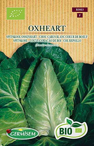 Germisem Bio Graines Chou cabus blanc Coeur de Boeuf OXHEART