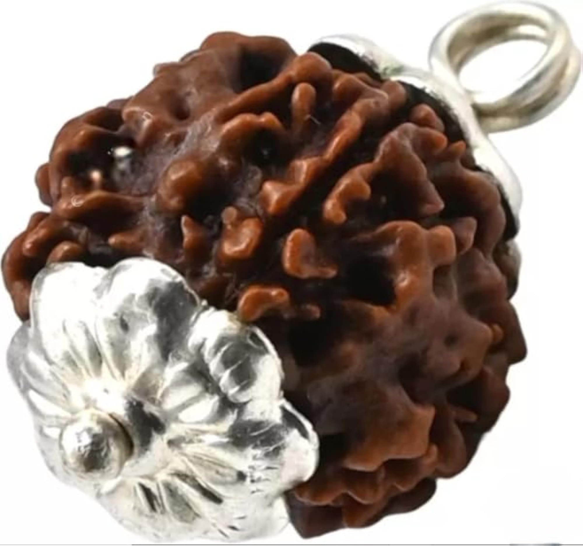 Pure Char Mukhi Rudraksha Bead, Certified