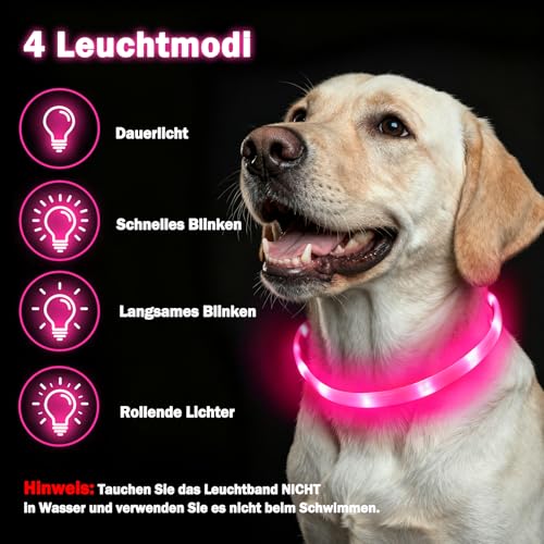 Nepfaivy Leuchthalsband Hund USB Aufladbar - Wasserdichtes Hundehalsband Leuchtend mit Verstellbarer Länge, LED Halsband für Hunde mit 4 Beleuchtungsmodi für Sicherheit, Rosa