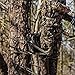 Summit Treestands OpenShot SD Climbing Treestand, Mossy Oak