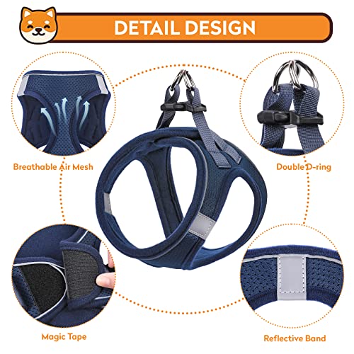 Kthzi 1-2 Pack Dog Harness With Leash Set，No-Pull Pet Harness With 1 Leash Clips, Adjustable Soft Padded Dog Vest For Extra-Small/Small Medium Large Dogs And Cats(Blue,Small) #TOP1