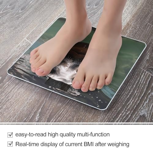 Báscula de baño digital con vidrio templado 400lb miniatura 5