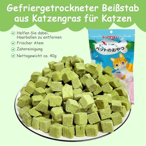 Onperpoe Katzengras Snack 40g Gefriergetrocknet Snacks Katzengras für Katzen Katzengraskörner Kauspielzeug Katze Zur Zahnpflege Zahnreiniger Haarballenentfernun Steigerung des Appetits