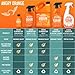 ANGRY ORANGE Pet Odor Eliminator for Dog and Cat Urine, Carpet Stains, and Strong Smells – Citrus Cleaner with Natural Orange Oil – 24 oz
