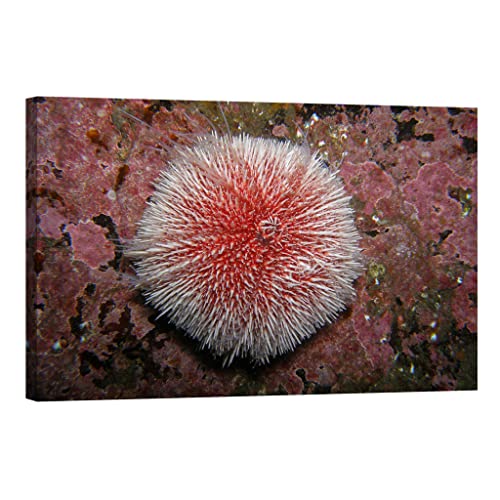 Tableau phosphorescent nature poétique pour sublimer vos nuits