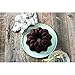 Nordic Ware Vintage Star Bundt Pan
