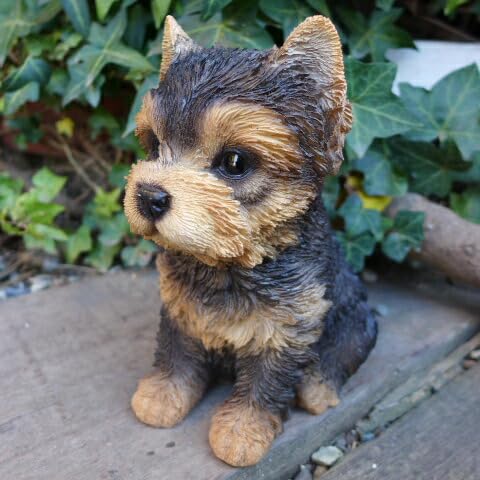 Amazon.co.jp: 犬の置物 ヨークシャーテリア いぬ イヌ 動物