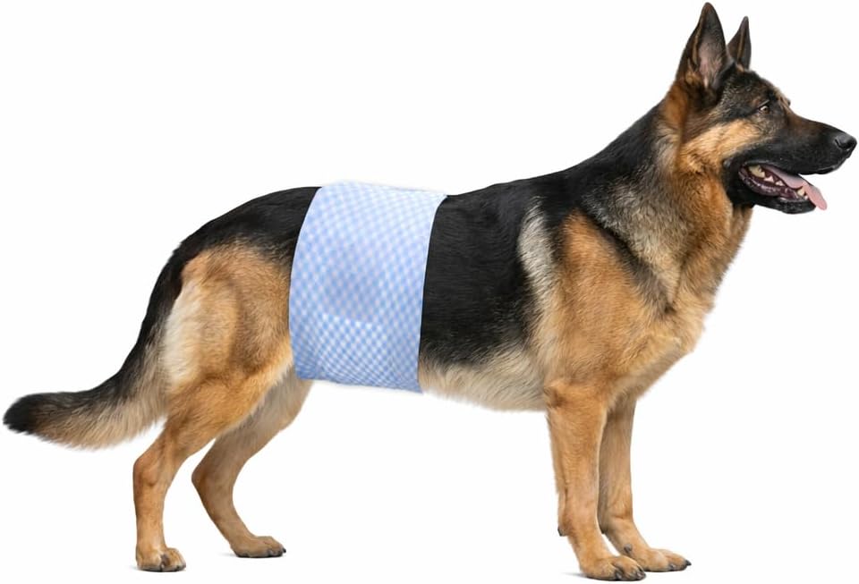 Disposable Male Dog Diaper Wraps for Waist 23–31 in, Leakproof, Super Absorbent, Adjustable Fit, Wetness Indicator, XL, 22 Count