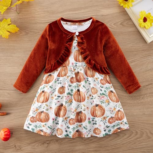 Toddler Baby Girls Spring Dress + Cardigan 2Pieces Outfits Floral Patterned Sundress Solid Long Sleeve Shrug Set2