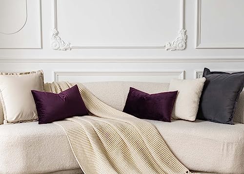 Image of JUSPURBET Couch Pillow Covers Set of 2 Decorative Velvet Throw Pillow Covers for Living Room Bedroom Home Decor Soft Lumbar Cushion Covers with Hidden Zipper for Sofa Bed,Eggplant Purple,14x24 inch