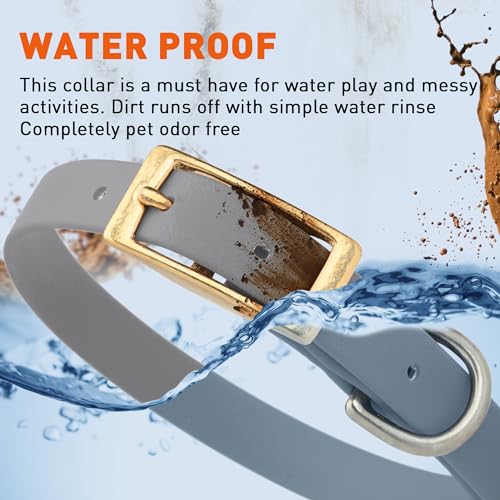 Image of Viper Biothane Heavy Duty Waterproof Dog Collar Strong Coated Nylon Webbing w /Solid Brass Hardware Odor-Proof Easy to Clean High Performance Fits Small Medium or Large Dogs, Battleship Gray