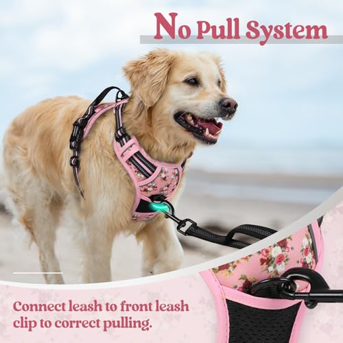 Image of rabbitgoo Dog Harness No Pull with 2 Leash Clips, Adjustable Soft Padded, Reflective Oxford No Choke Pet Vest with Easy Control Handle for Medium Sized Dogs, Pink Rose, M