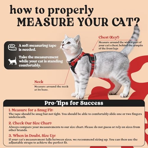 Image of rabbitgoo Cat Harness and Leash Set, Escape Proof Vest, Black & Red | Soft Breathable Mesh, Easy Adjustable Fit, Snap Buckles, Sturdy Clip, Reflective Strips, for Medium to Large Cats Walks, M