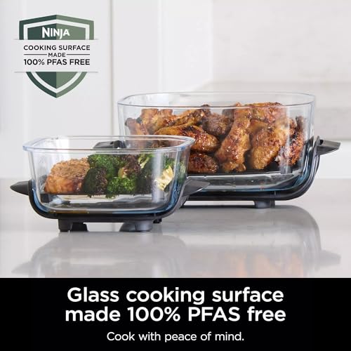 Final Verdict on Ninja Crispi Air Fryer