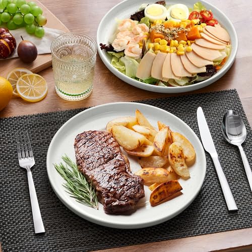Image of LIANYU Dinner Plates Set of 4, 10.5 Inch Stoneware Plate for Kitchen Dining, Large & Round Ceramic Salad Dishes Set, Microwave, Oven & Dishwasher Safe, Scratch Resistant, Stackable, Snowy White