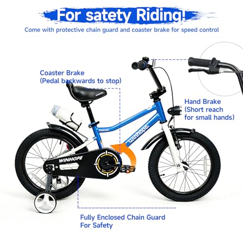 Image of WinHope Kids Bike with Headlight, 12-20 Inch Pedal Bike for 2-12 Boys Girls | Steel Frame with Training Wheels Water Bottle | Dual Brake for Summer Outdoor Riding | Birthday Gift for Toddlers