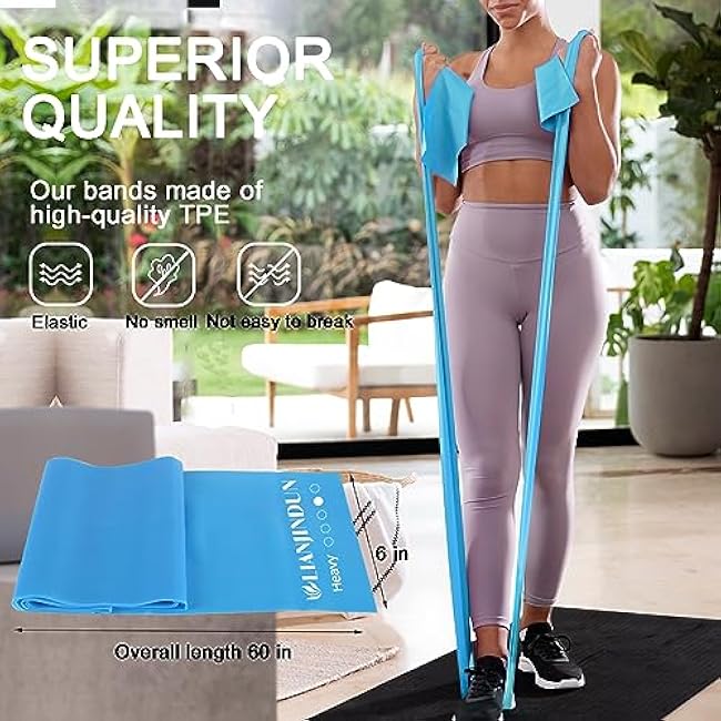 Professional Resistance Bands. Latex-Free, Work Out Bands, Stretch Bands for Working Out Women or Men, Exercise Bands Set for Physical Therapy (Colour Set (5-30lbs) - Includes Accessories)