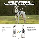 Huntboo Escape Proof Dog Harness Medium, Anti-Pull Dog Harness with Handle, Breathable, Adjustable Dog Harness Small, Reflective Harnesses for Large Dogs Outdoor, Walking, Training（Black, L） - Image 6