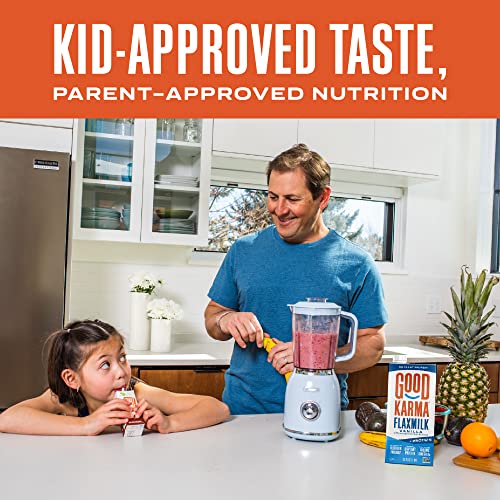 Good Karma Vanilla Flaxmilk +Protein, 32 Ounce (Pack Of 6), 8G Plant Protein + 1200Mg Omega-3 Per Serving, Plant-Based Non-Dairy Milk Alternative, Lactose Free, Nut Free, Vegan, Shelf Stable #TOP5